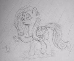 Size: 2238x1840 | Tagged: safe, derpibooru exclusive, imported from derpibooru, fluttershy, pony, female, frown, looking up, mare, pencil drawing, rain, saddle bag, signature, sketch, solo, traditional art, underhoof, wip