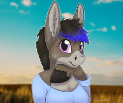 Size: 750x631 | Tagged: safe, artist:crazywolfgirl, imported from derpibooru, oc, oc only, oc:tara, anthro, donkey, anthro oc, arm hooves, bust, cute, field, hoof under chin, hooves, solo, sunset