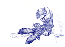 Size: 887x643 | Tagged: safe, artist:shoeunit, imported from derpibooru, cheerilee, earth pony, pony, semi-anthro, clothes, female, flower, flower in hair, mare, reading, school uniform, solo, traditional art