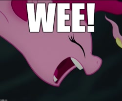 Size: 897x742 | Tagged: safe, edit, edited screencap, imported from derpibooru, screencap, pinkie pie, my little pony: the movie, cropped, image macro, meme, solo focus, weeeeeeee
