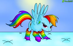 Size: 1280x800 | Tagged: safe, artist:9987neondraws, imported from derpibooru, rainbow dash, pegasus, pony, clothes, female, mare, rainbow socks, simple background, socks, solo, striped socks