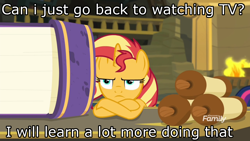 Size: 1366x768 | Tagged: safe, edit, edited screencap, imported from derpibooru, screencap, sunset shimmer, pony, unicorn, equestria girls, equestria girls series, forgotten friendship, book, bored, crossed hooves, female, fireplace, image macro, meme, scroll, solo, sunset shimmer is not amused, unamused