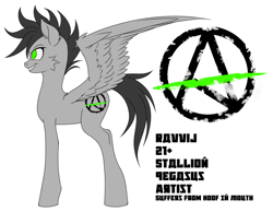 Size: 990x770 | Tagged: safe, artist:ravvij, imported from derpibooru, oc, oc only, oc:ravvij, pegasus, pony, anarchy, avatar, cutie mark, green, hooves, male, mane, reference sheet, solo, stallion, wings