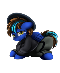 Size: 2300x2800 | Tagged: safe, artist:pridark, imported from derpibooru, oc, oc only, pegasus, pony, clothes, commission, crying, hat, looking at you, pants, simple background, solo, transparent background