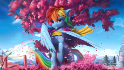 Size: 1920x1080 | Tagged: safe, artist:discordthege, imported from derpibooru, rainbow dash, pegasus, pony, backwards cutie mark, beautiful, building, cherry blossoms, clothes, cloud, detailed, female, flower, flower blossom, flower petals, japan, looking at you, mare, petals, scarf, scenery, scenery porn, sky, smiling, solo, tree, wallpaper