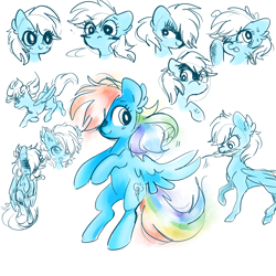 Size: 5000x5000 | Tagged: safe, artist:pinkablue, imported from derpibooru, rainbow dash, pegasus, pony, absurd resolution, blushing, bust, expressions, feather, female, flying, mare, mouth hold, simple background, white background