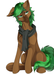 Size: 2800x3800 | Tagged: safe, artist:kuroran, imported from derpibooru, oc, oc only, oc:jaeger, oc:jaeger sylva, pony, clothes, rcf community, scarf, simple background, solo, transparent background, underhoof