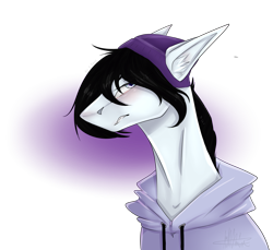 Size: 3400x3116 | Tagged: safe, artist:lastaimin, imported from derpibooru, oc, oc only, pony, bust, clothes, high res, hoodie, male, portrait, simple background, solo, stallion, transparent background