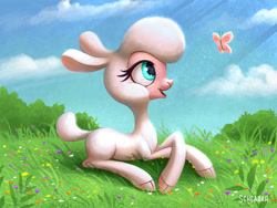 Size: 1200x900 | Tagged: safe, artist:scheadar, imported from derpibooru, pom lamb, butterfly, lamb, sheep, them's fightin' herds, adorapom, cloud, cloven hooves, cute, female, grass, pom (tfh), prone, sky, smiling, solo