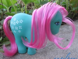 Size: 844x636 | Tagged: safe, imported from derpibooru, blossom, g1, irl, photo, toy, venezuela