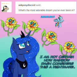 Size: 800x800 | Tagged: safe, artist:timid tracks, imported from derpibooru, princess luna, rainbow dash, do princesses dream of magic sheep, ask, dream, flower, nightmare, nightmare sunflower, singing, sunflower, tumblr