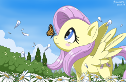 Size: 772x502 | Tagged: safe, artist:vinilyart, imported from derpibooru, fluttershy, butterfly, pegasus, pony, blush sticker, blushing, butterfly on nose, camomile, chamomile, cute, female, flower, flower field, flower petals, insect on nose, looking at something, looking up, monarch butterfly, profile, scenery, shyabetes, smiling, solo, spread wings, standing, wings