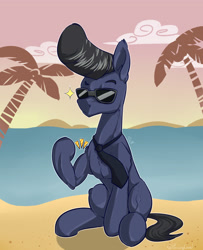 Size: 3000x3700 | Tagged: safe, artist:passigcamel, imported from derpibooru, oc, oc only, pony, beach, male, muscles, pompadour, royal pompadour, sitting, solo, stallion, sunglasses