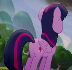 Size: 822x803 | Tagged: safe, imported from derpibooru, screencap, twilight sparkle, alicorn, pony, my little pony: the movie, butt, cropped, female, plot, solo, twilight sparkle (alicorn)