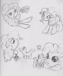 Size: 2483x2967 | Tagged: safe, artist:dilarus, deleted from derpibooru, imported from derpibooru, gummy, pinkie pie, alligator, earth pony, pony, clothes, dapper, dialogue, duo, female, gasp, grayscale, male, mare, monochrome, suit, traditional art