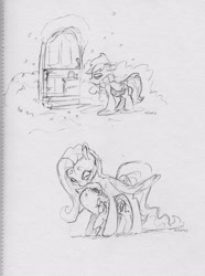 Size: 2453x3300 | Tagged: safe, artist:dilarus, deleted from derpibooru, imported from derpibooru, fluttershy, rainbow dash, pegasus, pony, fanfic:lanky and the nyoom, clothes, door, duo, female, flutterdash, grayscale, lesbian, mare, monochrome, raised hoof, scarf, shipping, smoldash, snow, tallershy, traditional art, winter