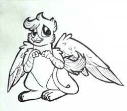 Size: 2968x2576 | Tagged: safe, artist:smirk, imported from derpibooru, griffon, cute, pen, shy, traditional art