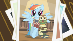 Size: 1280x720 | Tagged: safe, imported from derpibooru, screencap, rainbow dash, bird, owl, pegasus, pony, may the best pet win, book, clothes, crossed hooves, duo, leaning, photo, pose, side by side, smiling, sweater