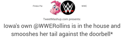 Size: 1024x319 | Tagged: safe, imported from derpibooru, pinkie pie, meme, tweet mashup, wwe