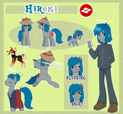 Size: 1280x1188 | Tagged: artist needed, safe, imported from derpibooru, oc, oc only, oc:hiroki, dog, earth pony, pony, equestria girls, asian conical hat, clothes, conical hat, hat, katana, reference sheet, samurai, sword, weapon