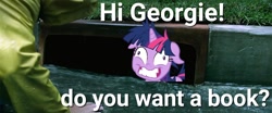 Size: 1024x426 | Tagged: safe, edit, edited screencap, imported from derpibooru, twilight sparkle, pony, unicorn, lesson zero, book, female, image macro, it, mare, meme, stephen king, storm drain, that pony sure does love books, twilight snapple