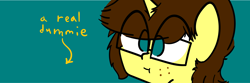 Size: 6250x2084 | Tagged: safe, artist:binary6, imported from derpibooru, oc, oc only, oc:happy wigglesworth, unicorn, banner, freckles, glasses, male, meta, twitter