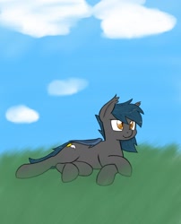 Size: 1440x1784 | Tagged: safe, imported from derpibooru, oc, oc only, oc:speck, bat pony, field, lying down, smiling, solo