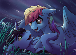 Size: 1920x1400 | Tagged: safe, artist:28gooddays, imported from derpibooru, rainbow dash, oc, oc:night rain, pegasus, pony, unicorn, canon x oc, cuddling, dashrain, female, grass, lying, lying in grass, male, mare, night, shipping, shooting star, stallion, stars