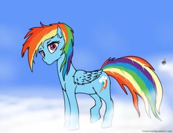 Size: 1043x800 | Tagged: safe, artist:tincantim, imported from derpibooru, rainbow dash, pony, female, solo