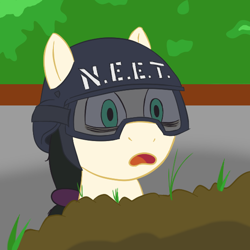 Size: 576x576 | Tagged: safe, artist:scraggleman, imported from derpibooru, oc, oc only, oc:floor bored, earth pony, pony, bags under eyes, bust, female, goggles, helmet, mare, meme, neet, neet home guard, ponified, solo, zitakukeibitai