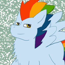 Size: 1000x1000 | Tagged: safe, artist:insanity-w0lf, imported from derpibooru, oc, oc only, oc:skyward skips, pegasus, pony, abstract background, chest fluff, looking at you, male, offspring, parent:rainbow dash, parent:soarin', parents:soarindash, solo