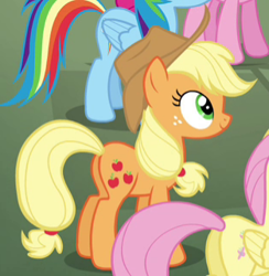 Size: 313x321 | Tagged: safe, imported from derpibooru, screencap, applejack, fluttershy, twilight's kingdom, butt, cropped, plot