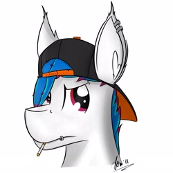 Size: 2129x2129 | Tagged: safe, artist:kamithepony, imported from derpibooru, oc, oc only, oc:kami, pony, baseball cap, cap, cigarette, hat, piercing, solo, teenager