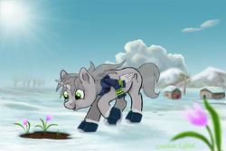 Size: 5000x3333 | Tagged: safe, artist:buchner-art, imported from derpibooru, oc, oc only, pony, winter wrap up, clothes, commission, crocus, flower, looking at something, looking down, outdoors, scarf, smiling, snow, solo, sun, your character here