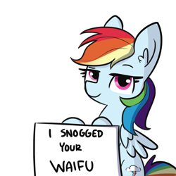 Size: 1650x1650 | Tagged: safe, artist:tjpones, imported from derpibooru, rainbow dash, pegasus, pony, ear fluff, female, implied lesbian, lidded eyes, looking at you, mare, pony shaming, pure unfiltered evil, shaming, sign, simple background, smug, solo, text, waifu, white background, wings