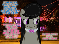 Size: 900x672 | Tagged: safe, artist:erthilo, imported from derpibooru, octavia melody, earth pony, pony, ask octavia, female, halloween, holiday, irl, mare, photo, ponies in real life, solo