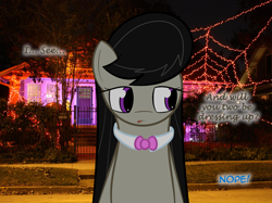 Size: 900x672 | Tagged: safe, artist:erthilo, imported from derpibooru, octavia melody, earth pony, pony, ask octavia, female, halloween, holiday, irl, mare, photo, ponies in real life, solo