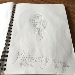 Size: 640x640 | Tagged: safe, artist:nightshadowmlp, imported from derpibooru, angel bunny, fluttershy, sketchbook, text, traditional art