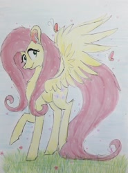 Size: 1152x1554 | Tagged: safe, artist:miss-racco0n, imported from derpibooru, fluttershy, pegasus, pony, female, mare, solo, traditional art