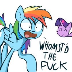 Size: 1280x1280 | Tagged: safe, artist:lilboulder, imported from derpibooru, rainbow dash, twilight sparkle, pegasus, pony, angry, c:, dialogue, duo, eyes closed, female, glare, grammar nazi, happy, mare, meme, open mouth, raised hoof, simple background, smiling, spread wings, vulgar, white background, whomst, wide eyes, wings