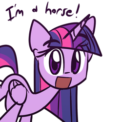 Size: 1280x1280 | Tagged: safe, artist:lilboulder, imported from derpibooru, twilight sparkle, alicorn, horse, pony, :d, captain obvious, cute, dialogue, eye clipping through hair, female, horn, i am a horse, looking at you, mare, open mouth, simple background, solo, truth, twiabetes, twilight sparkle (alicorn), white background, wings