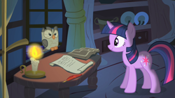 Size: 1280x720 | Tagged: safe, imported from derpibooru, screencap, owlowiscious, twilight sparkle, bird, owl, pony, unicorn, owl's well that ends well, book, candle, duo, female, fire, golden oaks library, looking at each other, male, mare, quill, scroll, unicorn twilight, window