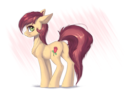 Size: 4102x3011 | Tagged: safe, artist:vincher, imported from derpibooru, roseluck, earth pony, pony, butt, cute, cuteluck, dock, female, mare, plot, rosabetes, rosebutt, smiling, solo