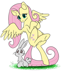 Size: 1750x2100 | Tagged: safe, artist:theluckyblackcatlbc, imported from derpibooru, angel bunny, fluttershy, pegasus, pony, rabbit, female, head turn, looking at something, looking down, mare, midair, simple background, solo, spread wings, transparent background, turned head, wings