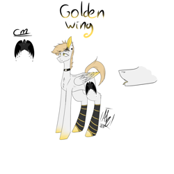 Size: 1024x1024 | Tagged: safe, artist:anhusaka, imported from derpibooru, oc, oc only, oc:golden wing, pegasus, pony, adoptable, choker, clothes, female, mare, simple background, socks, solo, striped socks, white background