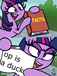 Size: 760x1015 | Tagged: safe, artist:quarium edits, edit, imported from derpibooru, twilight sparkle, alicorn, pony, 2 panel comic, comic, ed edd n eddy, exploitable, exploitable meme, female, meme, op is a duck (reaction image), reaction image, solo, truth, twilight sparkle (alicorn), twilight's fact book