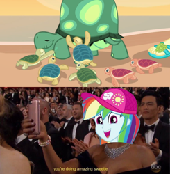 Size: 1366x1396 | Tagged: safe, imported from derpibooru, screencap, rainbow dash, tank, tortoise, aww... baby turtles, equestria girls, equestria girls series, baby turtle, beach, meme, sea turtle