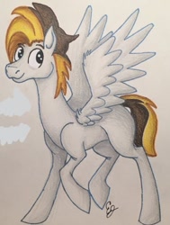 Size: 556x736 | Tagged: safe, imported from derpibooru, oc, oc:ban pinna, pegasus, pony, brown, colored pencil drawing, handsome, male, old art, paper, pen, smiling, stallion, traditional art, white, wings, yellow