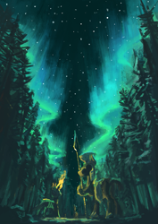 Size: 855x1210 | Tagged: safe, artist:plainoasis, imported from derpibooru, changeling, pony, armor, aurora borealis, forest, helmet, night, royal guard, spear, starry night, stars, weapon