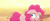 Size: 1920x804 | Tagged: safe, imported from derpibooru, screencap, pinkie pie, earth pony, pony, my little pony: the movie, bone dry desert, derp, desert, faic, female, mare, messy mane, solo